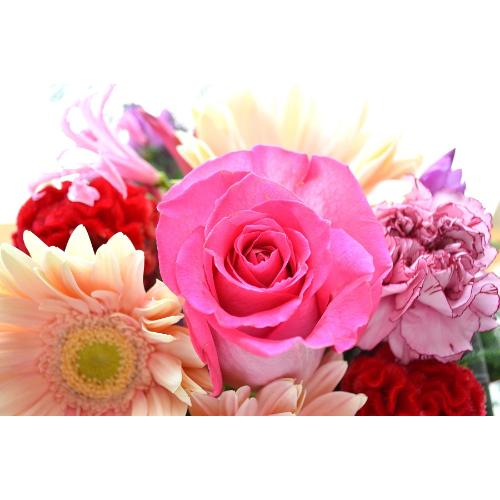 �L���[�g�ȃA�����W�@PinkSky�@�i�o���ƃK�[�x���̃t�����[�A�����W�����g�j�s���N�n�@�a�����A�����L�O���A���j���A�h�V�̓�4