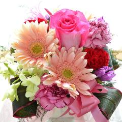 �L���[�g�ȃA�����W�@PinkSky�@�i�o���ƃK�[�x���̃t�����[�A�����W�����g�j�s���N�n�@�a�����A�����L�O���A���j���A�h�V�̓�