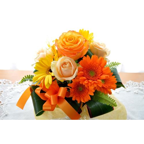 �L���[�g�ȃA�����W�@TopYellow�i�o���ƃK�[�x���̃t�����[�A�����W�����g�j���F�I�����W�n�@�a�����A�����L�O���A���j���A�h�V�̓�2