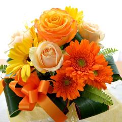 �L���[�g�ȃA�����W�@TopYellow�i�o���ƃK�[�x���̃t�����[�A�����W�����g�j���F�I�����W�n�@�a�����A�����L�O���A���j���A�h�V�̓�