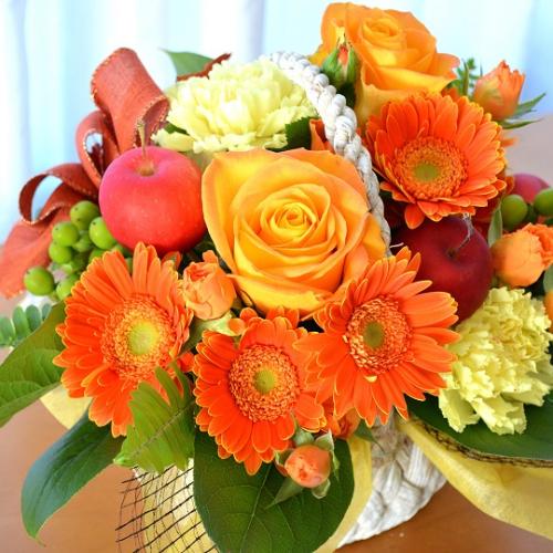 �L���[�g�ȃA�����W�@OrangeBasket�@(�o���ƃK�[�x���̃t�����[�A�����W�����g�j�@�I�����W�n�@�a�����A�����L�O���A���j���A���\��A�R���T�[�g�A���C�u
