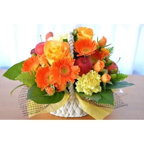 �L���[�g�ȃA�����W�@OrangeBasket�@(�o���ƃK�[�x���̃t�����[�A�����W�����g�j�@�I�����W�n�@�a�����A�����L�O���A���j���A���\��A�R���T�[�g�A���C�u3