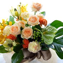 �������A���@�A�����W�@YellowDiamond�@�i�o���ƃA���X�����[���̃t�����[�A�����W�����g�j�@�a�����A�����L�O���A���j���A�h�V�̓�