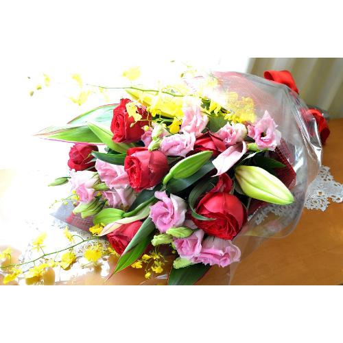 �������A���@�u�[�P�@RedMemory�@�i�o���ƃ����̉ԑ��j�s���N���b�h�n�@�a�����A�����L�O���A���j���A���ʁA���\��A�h�V�̓�2
