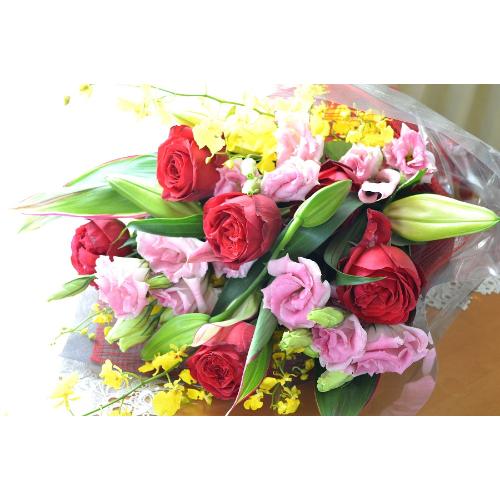�������A���@�u�[�P�@RedMemory�@�i�o���ƃ����̉ԑ��j�s���N���b�h�n�@�a�����A�����L�O���A���j���A���ʁA���\��A�h�V�̓�3