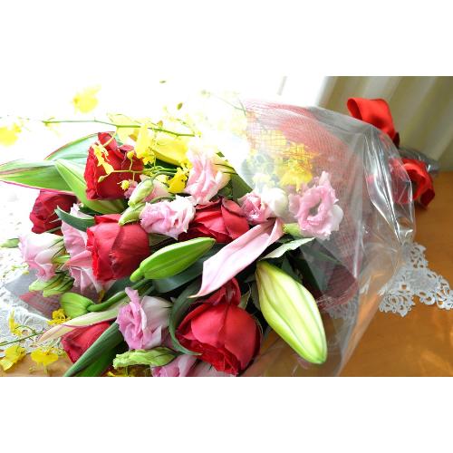 �������A���@�u�[�P�@RedMemory�@�i�o���ƃ����̉ԑ��j�s���N���b�h�n�@�a�����A�����L�O���A���j���A���ʁA���\��A�h�V�̓�5