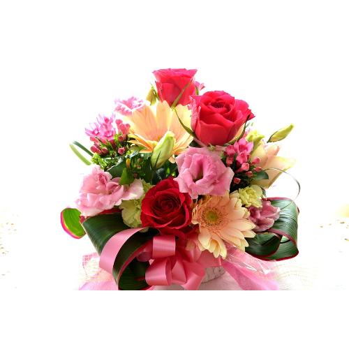 ��l�̃A�����W�@PinkTreasure�@(�o���ƃK�[�x���̃t�����[�A�����W�����g�j�s���N�n�@�a�����A�����L�O���A���j���A�h�V�̓�3