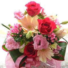 ��l�̃A�����W�@PinkTreasure�@(�o���ƃK�[�x���̃t�����[�A�����W�����g�j�s���N�n�@�a�����A�����L�O���A���j���A�h�V�̓�