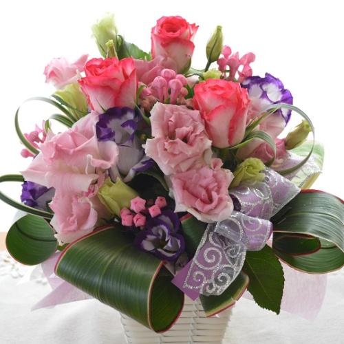 ��l�̃A�����W�@LivePink�@�i�o���ƃg���R�L�L���E�̃t�����[�A�����W�����g�j�s���N�n�@�a�����A�����L�O���A���j��
