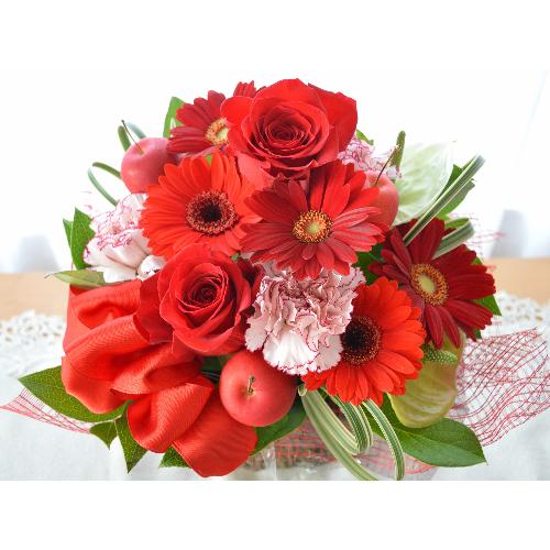 �v�`�ґ�ȃA�����W�@RedEye�@�i�o���ƃK�[�x���̃t�����[�A�����W�����g�j�Ԍn�@�a�����A�����L�O���A���j���A�h�V�̓�2
