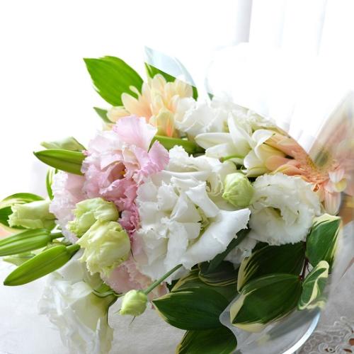 �������p�@�u�[�P�@�V�g�̑��蕨�@�i�����ƃg���R�L�L���E�̉ԑ��j���n �@�������A������݁A���~�A���ފ݁A�����A�@���A���ԁA���ʖ�A���ʎ��A���ʂ��