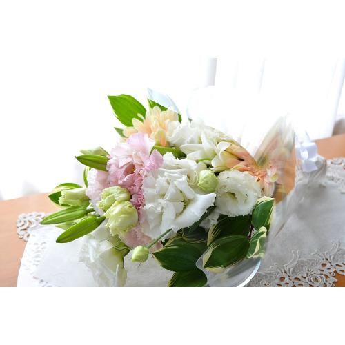 �������p�@�u�[�P�@�V�g�̑��蕨�@�i�����ƃg���R�L�L���E�̉ԑ��j���n �@�������A������݁A���~�A���ފ݁A�����A�@���A���ԁA���ʖ�A���ʎ��A���ʂ��2
