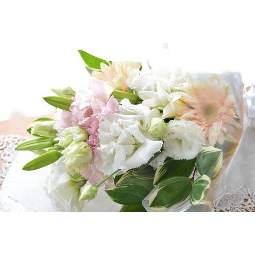 �������p�@�u�[�P�@�V�g�̑��蕨�@�i�����ƃg���R�L�L���E�̉ԑ��j���n �@�������A������݁A���~�A���ފ݁A�����A�@���A���ԁA���ʖ�A���ʎ��A���ʂ��3
