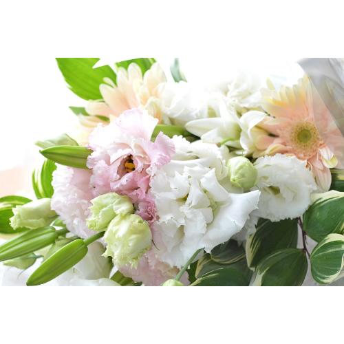 �������p�@�u�[�P�@�V�g�̑��蕨�@�i�����ƃg���R�L�L���E�̉ԑ��j���n �@�������A������݁A���~�A���ފ݁A�����A�@���A���ԁA���ʖ�A���ʎ��A���ʂ��5