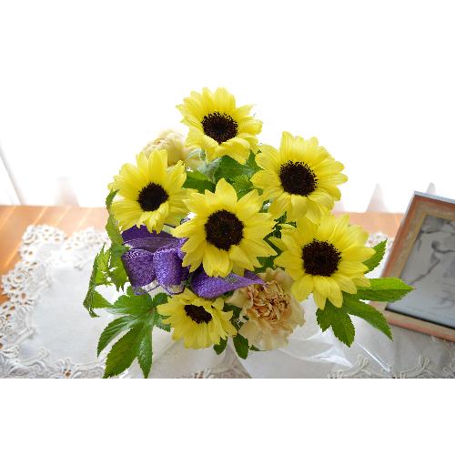 �������p�@�A�����W�����g�@�G���L�@�i�q�}�����̃t�����[�A�����W�������g�j�C�G���[�I�����W�n�@�������A������݁A���~�A���ފ݁A�����A�@��2