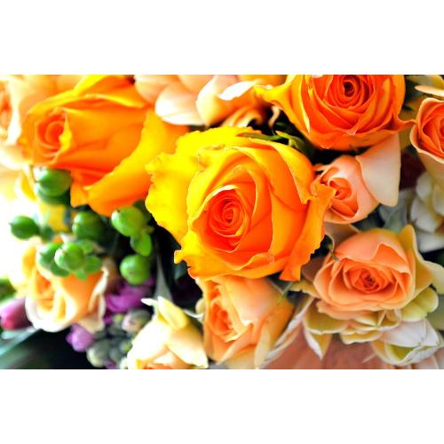 �v�`�ґ�ȃu�[�P�@OrangeRose (�o���ƃK�[�x���̉ԑ��j�@�I�����W�n�@�a�����A�����L�O���A���j���A���ʁA���\��A�h�V�̓�5
