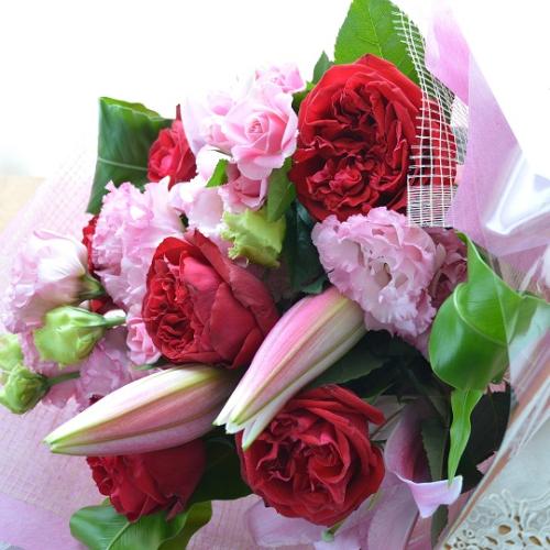 �v�`�ґ�ȃu�[�P�@SilentRed (�o���ƃ����̉ԑ��j�Ԍn�@���a�����A�����L�O���A���j���A���ʁA���\��A�h�V��