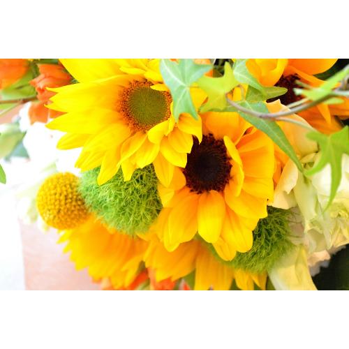 �L���[�g�ȃu�[�P�@�r����������Memory�@�i�q�}�����̉ԑ��j�C�G���[�I�����W�n�@�a�����A�����L�O���A���j���A���\��A�R���T�[�g�A���C�u5