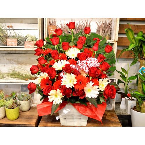 �p�Y�i�o���̃t�����[�A�����W�����g�j�Ԍn�@�a�����A�����L�O���A�җ�A�A�C�j���A�J�X�j��2