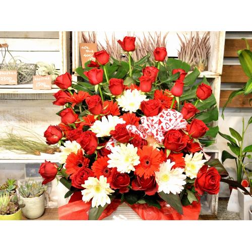 �p�Y�i�o���̃t�����[�A�����W�����g�j�Ԍn�@�a�����A�����L�O���A�җ�A�A�C�j���A�J�X�j��3