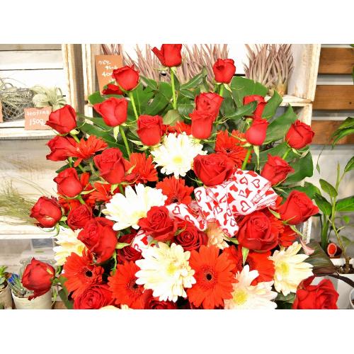 �p�Y�i�o���̃t�����[�A�����W�����g�j�Ԍn�@�a�����A�����L�O���A�җ�A�A�C�j���A�J�X�j��5