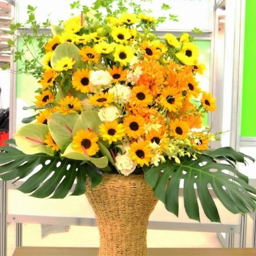 �X�p�[�A�����W�����g�@BigSun�@