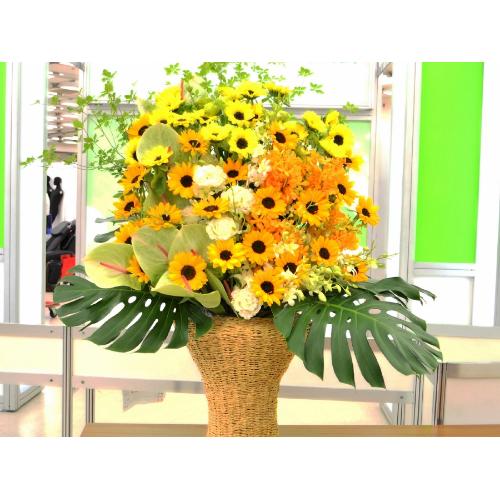 �X�p�[�A�����W�����g�@BigSun�@2