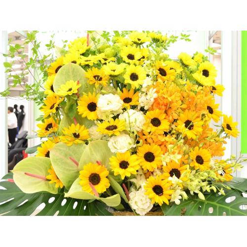 �X�p�[�A�����W�����g�@BigSun�@3