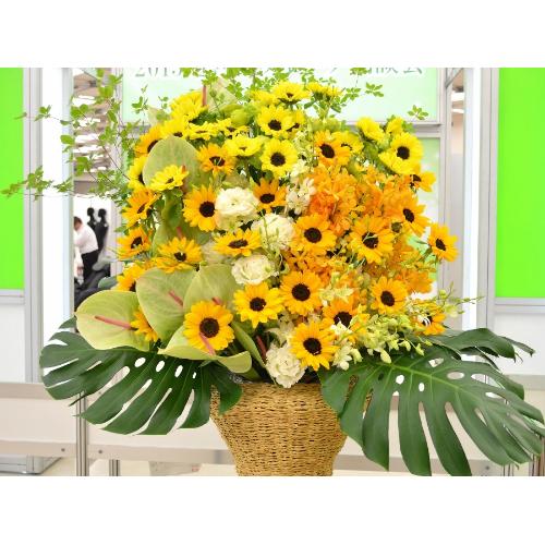 �X�p�[�A�����W�����g�@BigSun�@4