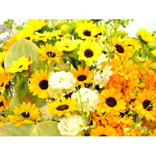 �X�p�[�A�����W�����g�@BigSun�@5