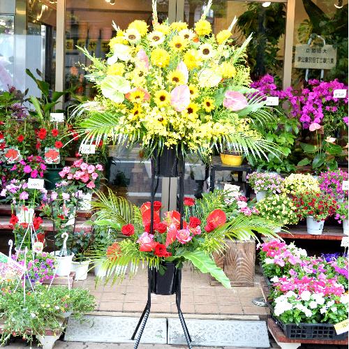 �������@�L���[�g�ȃX�^���h�ԁ@�Q�i