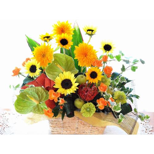 �������A���@�A�����W�@VincentOrange�@�@�i�q�}�����̃t�����[�A�����W�����g�j���F�n�@�@�a�����A�����L�O���A���j���A�J�X�A�J��2