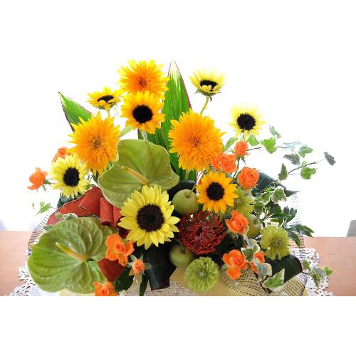 �������A���@�A�����W�@VincentOrange�@�@�i�q�}�����̃t�����[�A�����W�����g�j���F�n�@�@�a�����A�����L�O���A���j���A�J�X�A�J��4