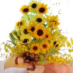 �������A���@�A�����W�@�@SunFlower�@Mix