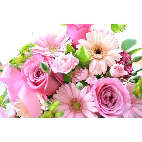 ��l�̃A�����W�����g�@PinkWay�@�i�o���ƃK�[�x���̃t�����[�A�����W�����g�j�s���N�n�@�a�����A�����L�O���A���j��4
