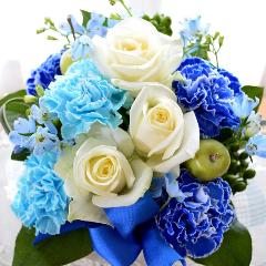 ��l�̃A�����W�@�a�������v���������@�i�J�[�l�[�V�����̃t�����[�A�����W�����g�j�u���[�n�@�a�����A�����L�O���A���j��