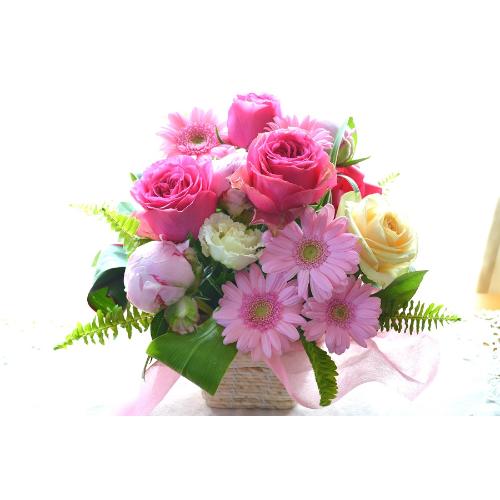 ��l�̃A�����W�@LadyPink�i�o���̃t�����[�A�����W�����g�j�s���N�n�@�a�����A�����L�O���A���j���A�h�V�̓�2