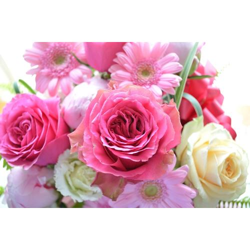 ��l�̃A�����W�@LadyPink�i�o���̃t�����[�A�����W�����g�j�s���N�n�@�a�����A�����L�O���A���j���A�h�V�̓�5