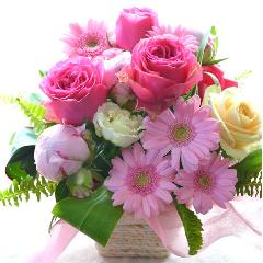 ��l�̃A�����W�@LadyPink�i�o���̃t�����[�A�����W�����g�j�s���N�n�@�a�����A�����L�O���A���j���A�h�V�̓�