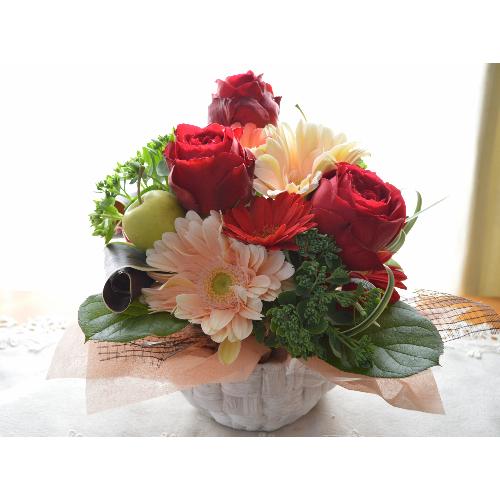 �v�`�ґ�ȃA�����W�@RedDiamond �i�o���ƃK�[�x���̃t�����[�A�����W�����g)�Ԍn�@���a�����A�����L�O���A���j���A�h�V�̓�3
