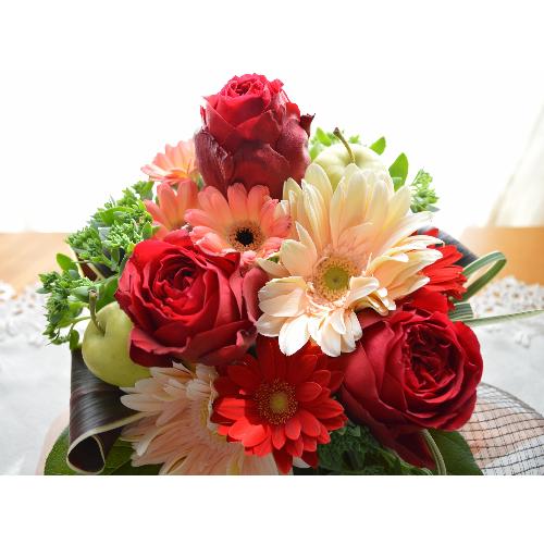 �v�`�ґ�ȃA�����W�@RedDiamond �i�o���ƃK�[�x���̃t�����[�A�����W�����g)�Ԍn�@���a�����A�����L�O���A���j���A�h�V�̓�5