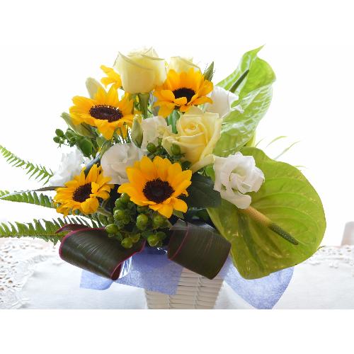 �v�`�ґ�ȃA�����W�����g�@SummerWing�@�i�q�}�����̃t�����[�A�����W�������g�j�C�G���[�I�����W�n�@�a�����A�����L�O���A���j���A���\��A�R���T�[�g�A���C�u3
