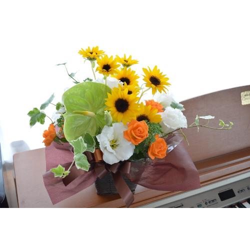 �v�`�ґ�ȃA�����W�@SunMelody�@�i�q�}�����̃t�����[�A�����W�������g�j���F�n2