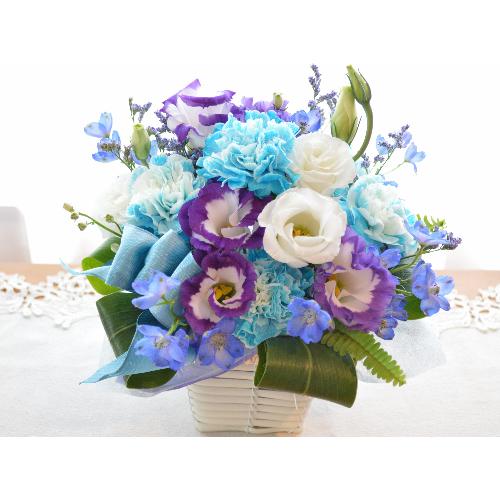 �v�`�ґ�ȃA�����W�����g�@Blue�o�����������@�i�J�[�l�[�V�����ƃg���R�L�L���E�̃t�����[�A�����W�����g�j�u���[�n�@�a�����A�����L�O���A���j��2