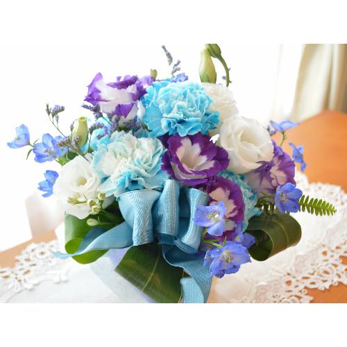 �v�`�ґ�ȃA�����W�����g�@Blue�o�����������@�i�J�[�l�[�V�����ƃg���R�L�L���E�̃t�����[�A�����W�����g�j�u���[�n�@�a�����A�����L�O���A���j��5