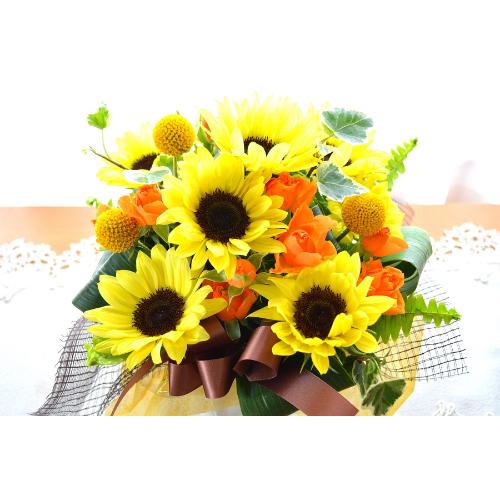 �v�`�ґ�ȃA�����W�����g�@SummerMelody�@�i�q�}�����̃t�����[�A�����W�������g�j���F�n�@�a�����A�����L�O���A���j���A���\��A�R���T�[�g�A���C�u2