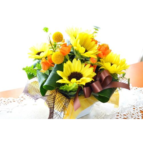 �v�`�ґ�ȃA�����W�����g�@SummerMelody�@�i�q�}�����̃t�����[�A�����W�������g�j���F�n�@�a�����A�����L�O���A���j���A���\��A�R���T�[�g�A���C�u4