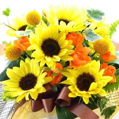 �v�`�ґ�ȃA�����W�����g�@SummerMelody�@�i�q�}�����̃t�����[�A�����W�������g�j���F�n�@�a�����A�����L�O���A���j���A���\��A�R���T�[�g�A���C�u