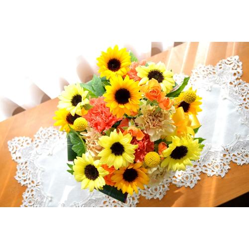 �v�`�ґ�ȃA�����W�@SummerSong�@�i�q�}�����̃t�����[�A�����W�������g�j���F�n�@�a�����A�����L�O���A���j���A���\��A�R���T�[�g�A���C�u2