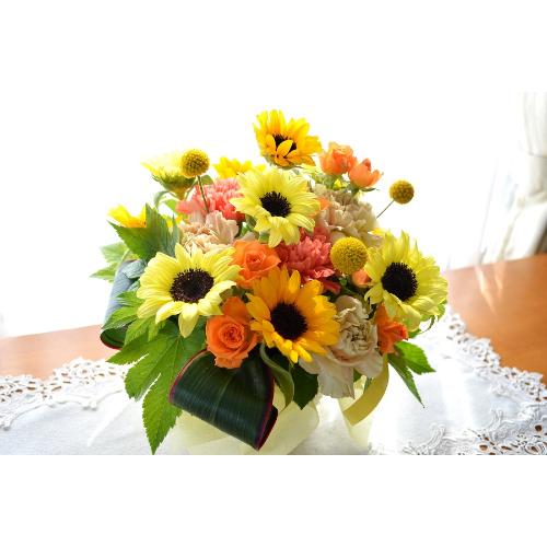 �v�`�ґ�ȃA�����W�@SummerSong�@�i�q�}�����̃t�����[�A�����W�������g�j���F�n�@�a�����A�����L�O���A���j���A���\��A�R���T�[�g�A���C�u4